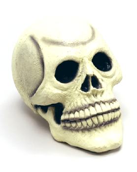 Large Rubber Human skull